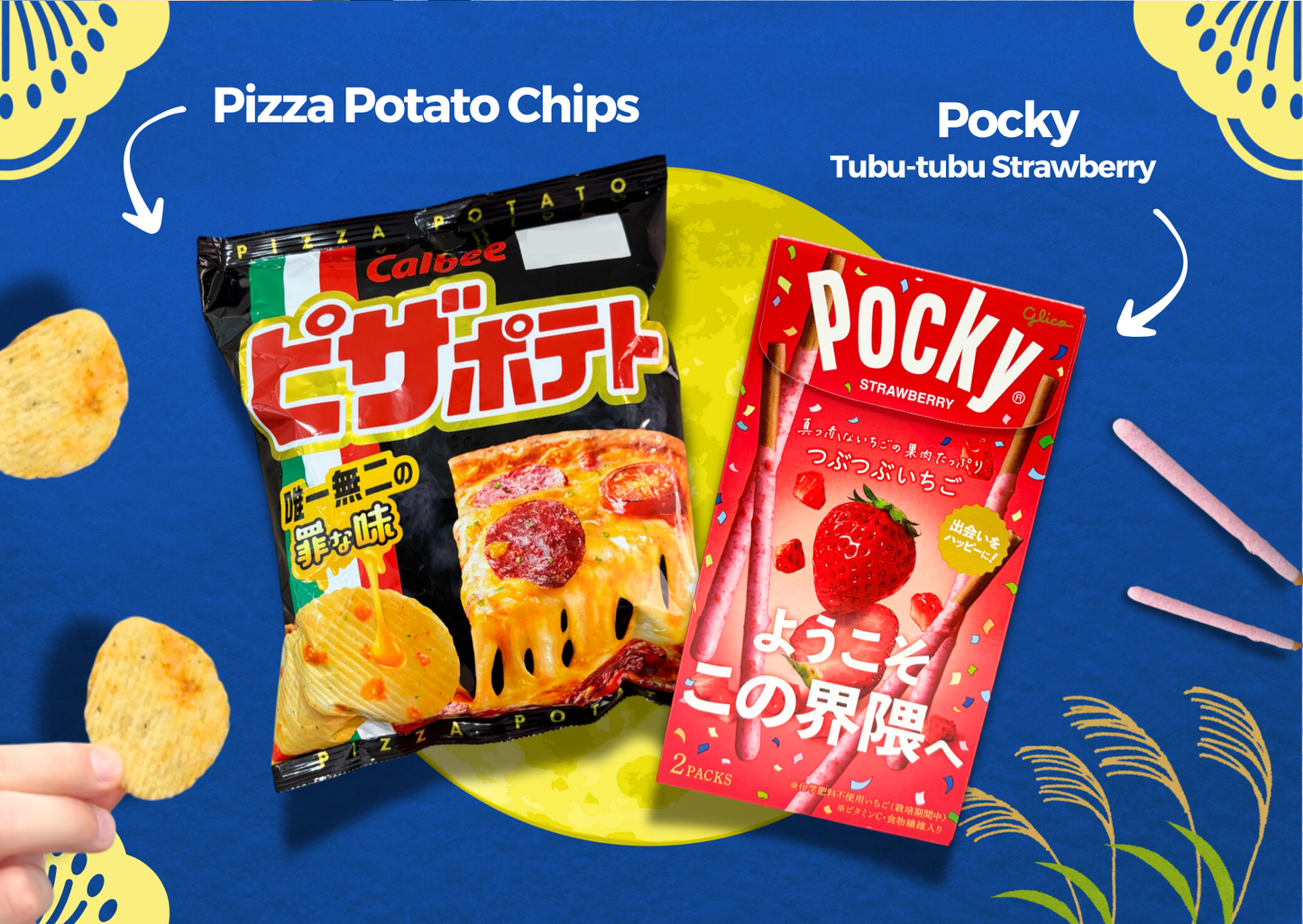 Japanese Snack Party Box