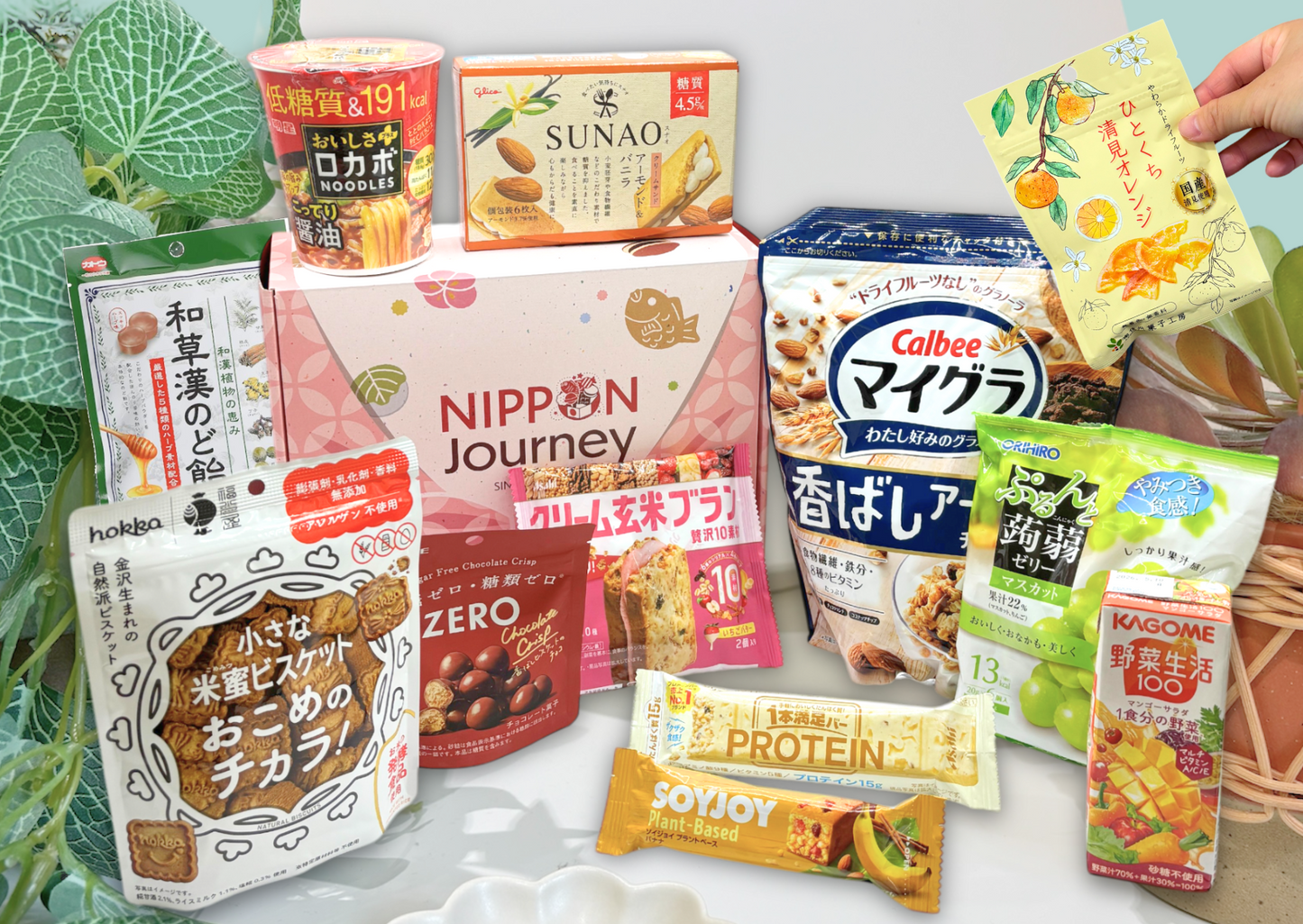 Japanese Healthy Delights Box