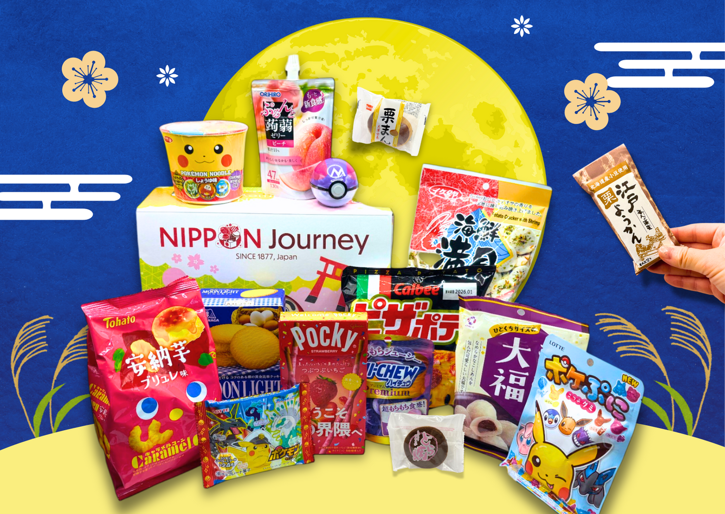 Japanese Snack Party Box