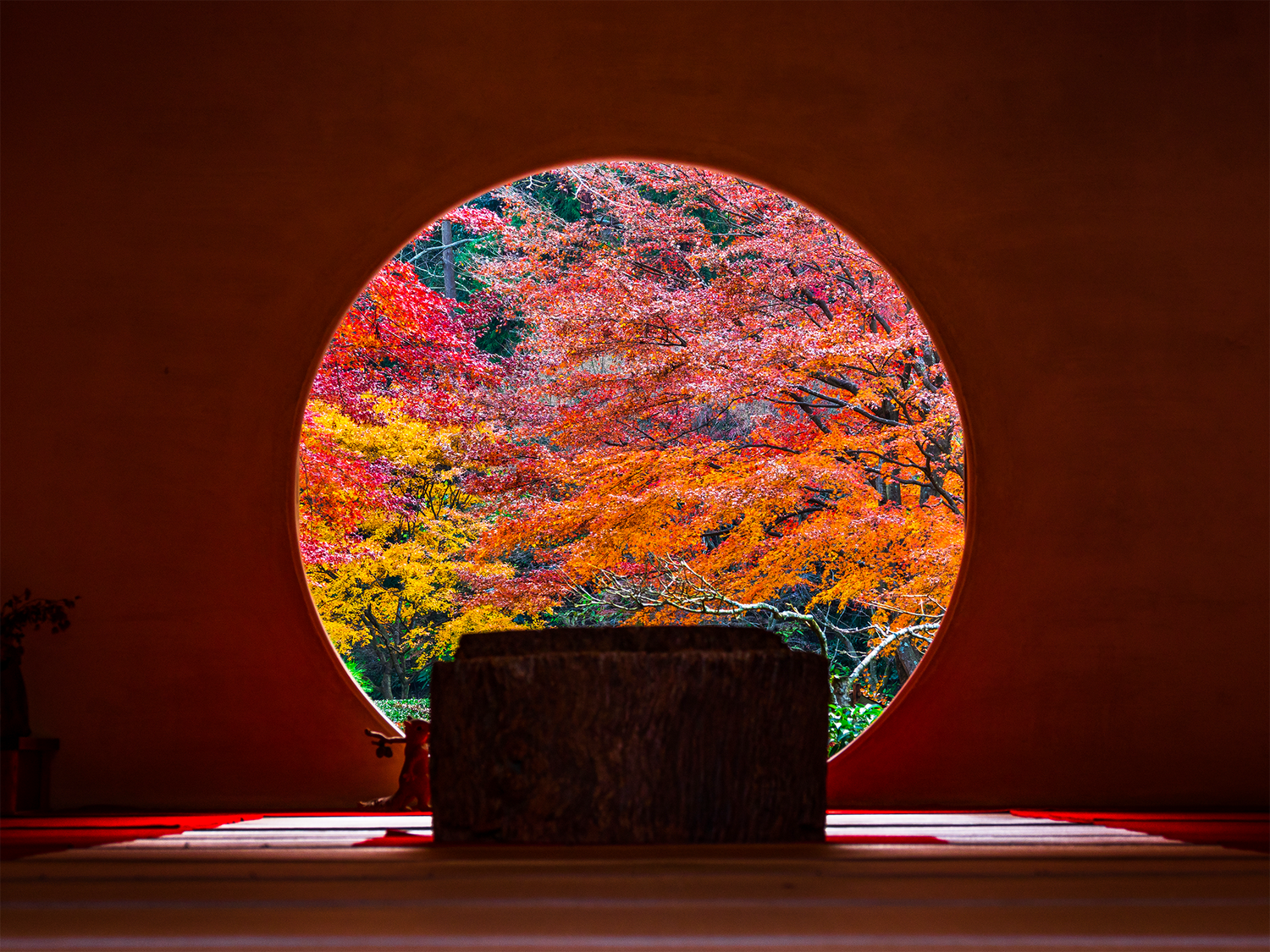 Round window framing vibrant autumn leaves in shades of red, orange, and yellow, creating a stunning nature view.