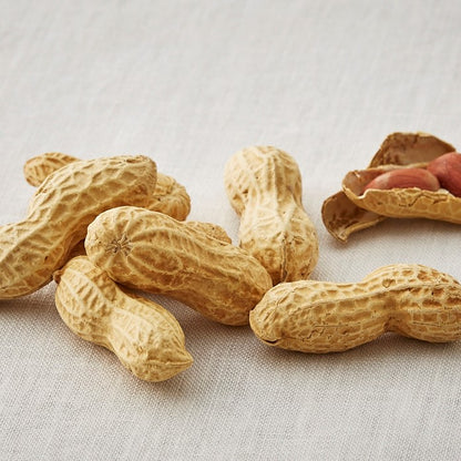 Peanut (Outdoor Cultivation)