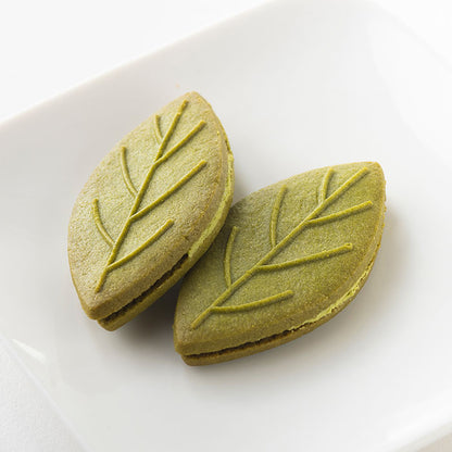 Shizuoka Green Tea Sand Cookie