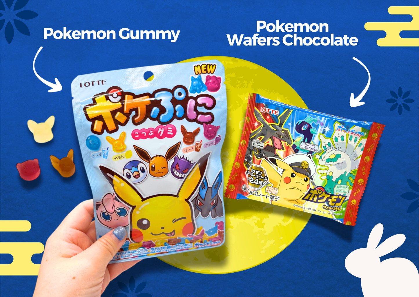 Japanese Snack Party Box