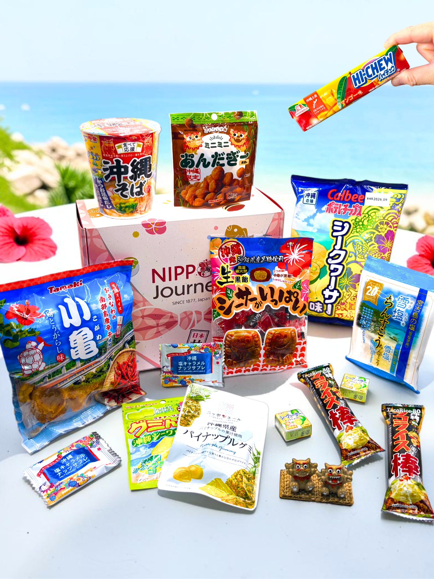 日本旅行盒-冲绳-